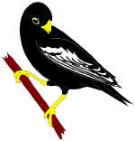 The crow objecting to the peacock