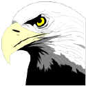 The young eagle making a suggestion