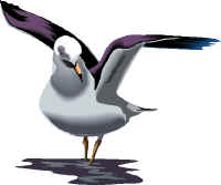 Cyrus holding his wings open for an hour