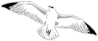 Cyrus graduating with a degree in Perfect Flight